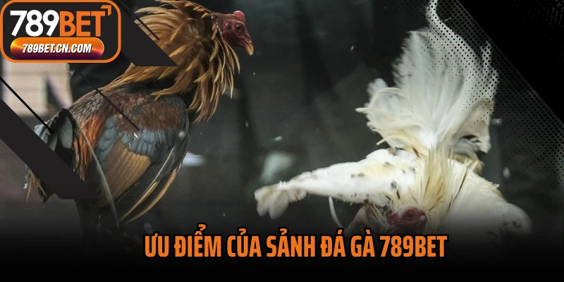 Ưu điểm của sảnh đá gà 789BET
